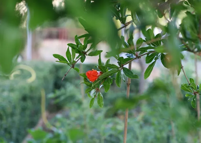 Διαμέρισμα Mare *